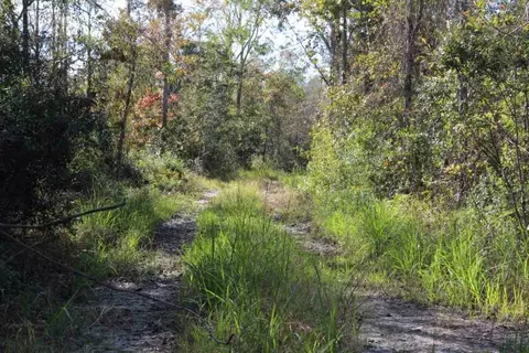 3392 SW Bee Tree Rd, Madison, FL 32340 photo 9