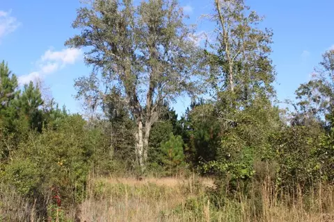3392 SW Bee Tree Rd, Madison, FL 32340 photo 12