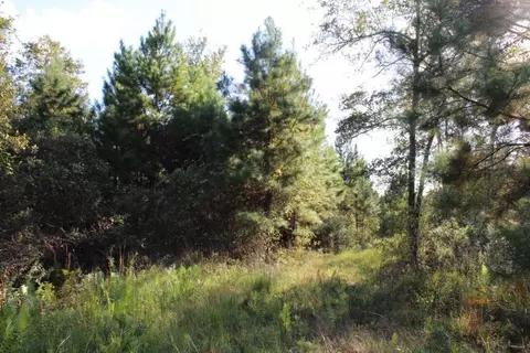 3392 SW Bee Tree Rd, Madison, FL 32340 photo 14