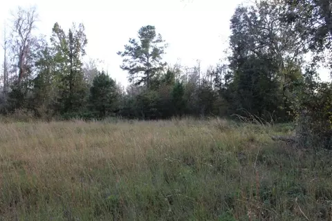 3392 SW Bee Tree Rd, Madison, FL 32340 photo 15