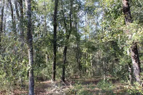 3392 SW Bee Tree Rd, Madison, FL 32340 photo 10