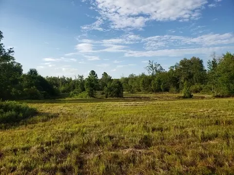 3392 SW Bee Tree Rd, Madison, FL 32340 photo 2