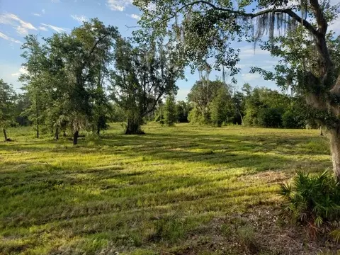 3392 SW Bee Tree Rd, Madison, FL 32340 photo 3