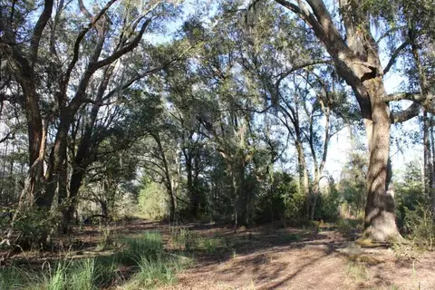 3392 SW Bee Tree Rd, Madison, FL 32340 photo 18