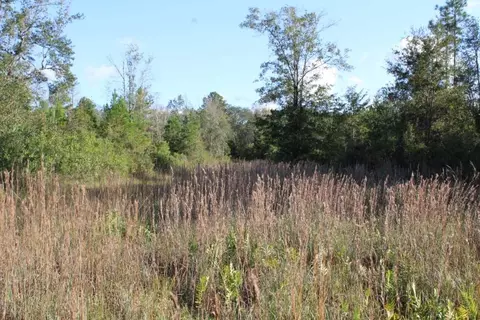 3392 SW Bee Tree Rd, Madison, FL 32340 photo 13