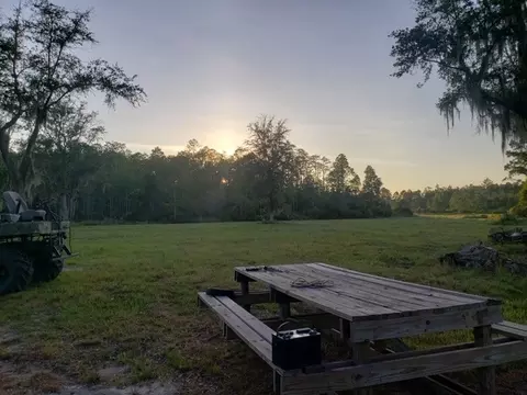 3392 SW Bee Tree Rd, Madison, FL 32340 photo 6