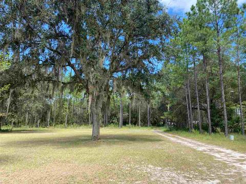 4151 Puckett Rd, Perry, FL 32348 photo 34