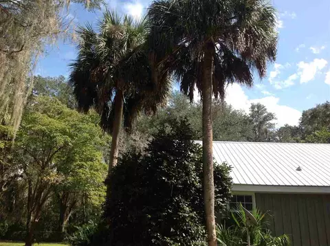 1283 Dewey Mcguire Rd, Perry, FL 32348 photo 33