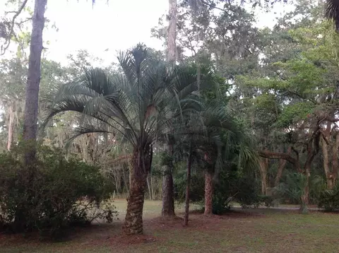 1283 Dewey Mcguire Rd, Perry, FL 32348 photo 35