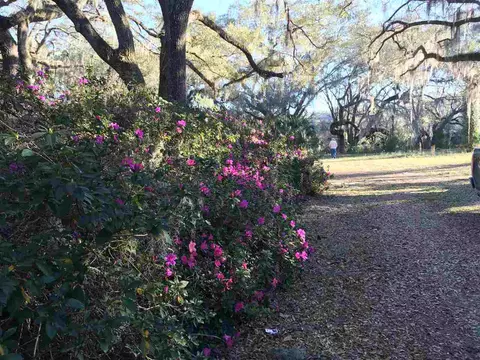 1283 Dewey Mcguire Rd, Perry, FL 32348 photo 31