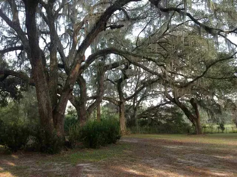 1283 Dewey Mcguire Rd, Perry, FL 32348 photo 28