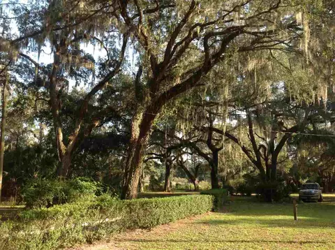 1283 Dewey Mcguire Rd, Perry, FL 32348 photo 30
