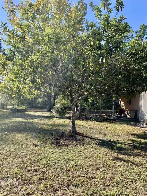 2827 Mixon Rd, Perry, FL 32348 photo 4