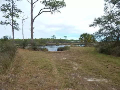647 Mill Rd, Carrabelle, FL 32322 photo 27