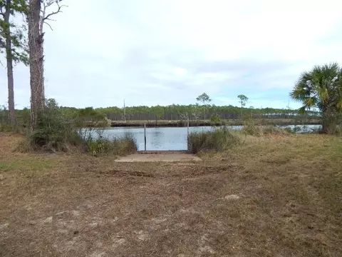 647 Mill Rd, Carrabelle, FL 32322 photo 24
