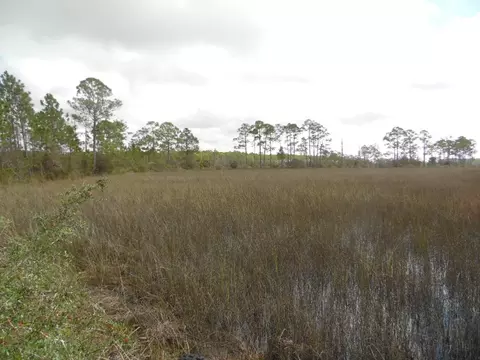 647 Mill Rd, Carrabelle, FL 32322 photo 4