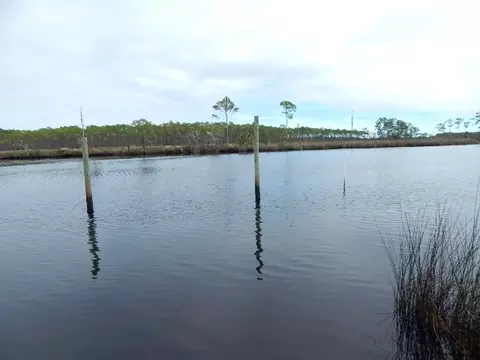 647 Mill Rd, Carrabelle, FL 32322 photo 25