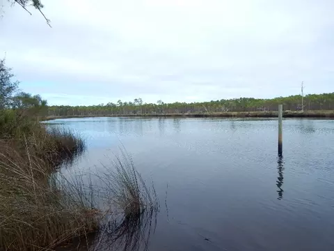 647 Mill Rd, Carrabelle, FL 32322 photo 26