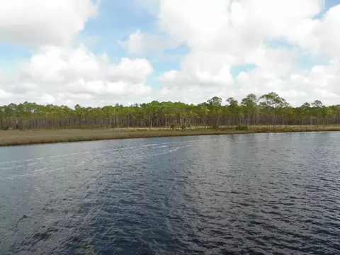 647 Mill Rd, Carrabelle, FL 32322 photo 22