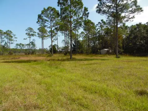647 Mill Rd, Carrabelle, FL 32322 photo 1