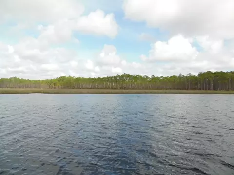 647 Mill Rd, Carrabelle, FL 32322 photo 20