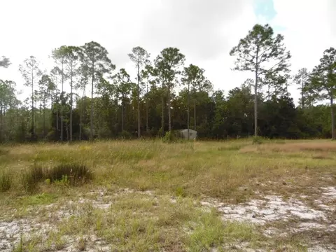 647 Mill Rd, Carrabelle, FL 32322 photo 3