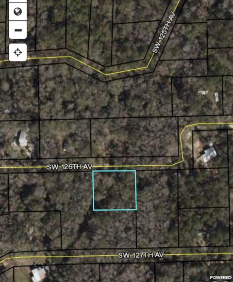 203 SW 126 Ave, Steinhatchee, FL 32359 photo 1