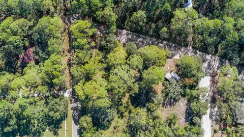 175 Levy Bay Rd, Panacea, FL 32346 photo 4