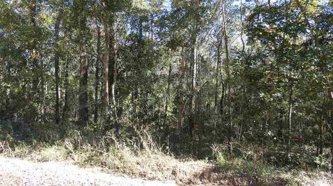 Tbd Wood Duck Drive, Monticello, FL 32344