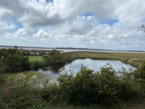 1735 Surf Rd, Panacea, FL 32346 photo 9