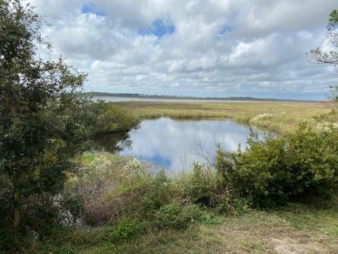 1735 Surf Rd, Panacea, FL 32346 photo 12