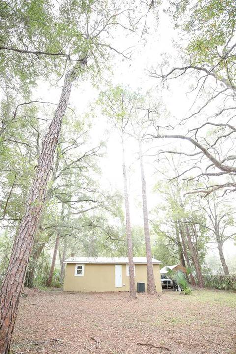 902 W Wilcox St, Perry, FL 32347 photo 31