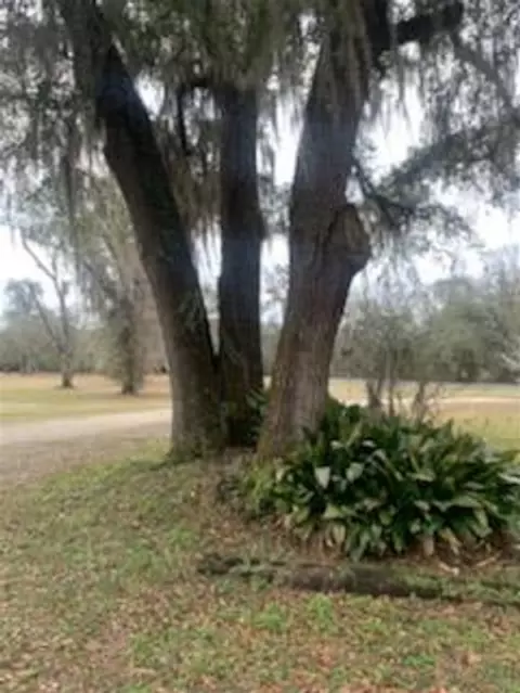 588 E Roberts Aman Rd, Perry, FL 32347 photo 27