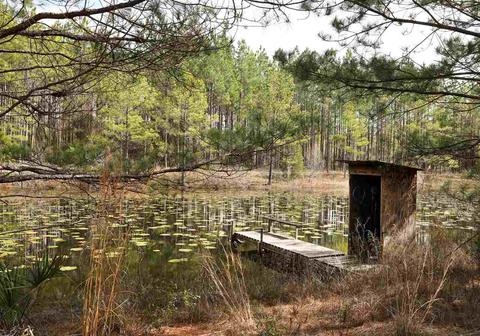 8020 Beach Rd, Perry, FL 32348 photo 20