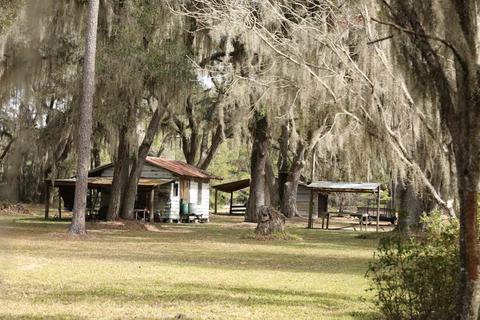 8020 Beach Rd, Perry, FL 32348 photo 19