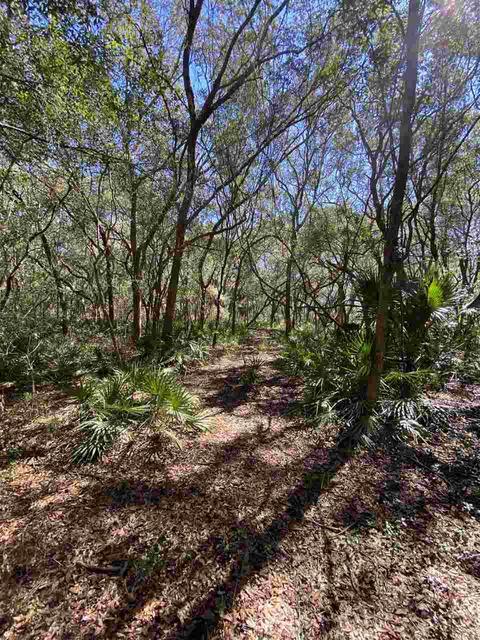 3411 Quail St, Perry, FL 32348 photo 9