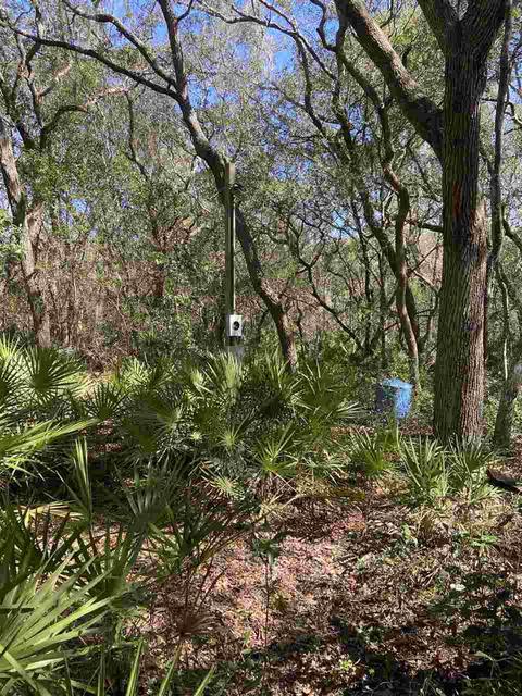 3411 Quail St, Perry, FL 32348 photo 2
