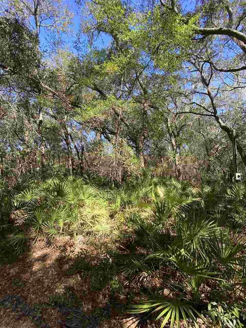 3411 Quail St, Perry, FL 32348 photo 8