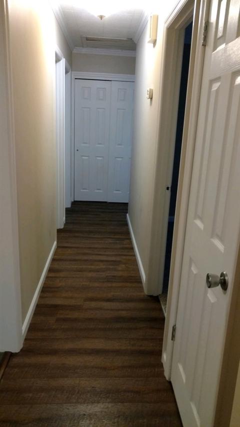 233 Clark Dr, Panacea, FL 32346 photo 7