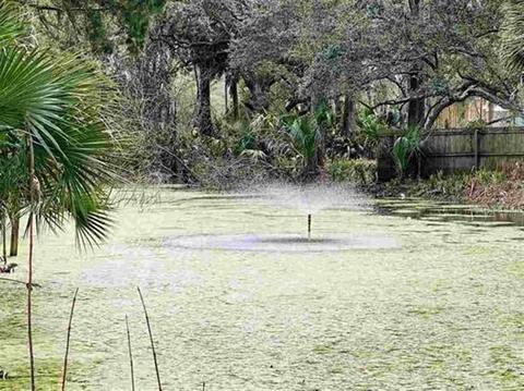 1108 NE First Ave, Steinhatchee, FL 32359 photo 4