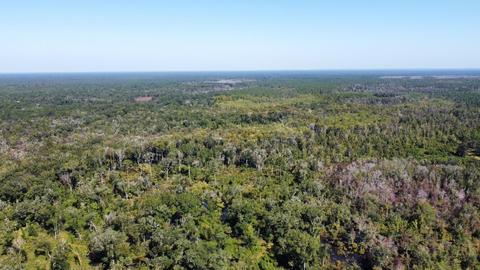 1 Coastal Highway, Crawfordville, FL 32327