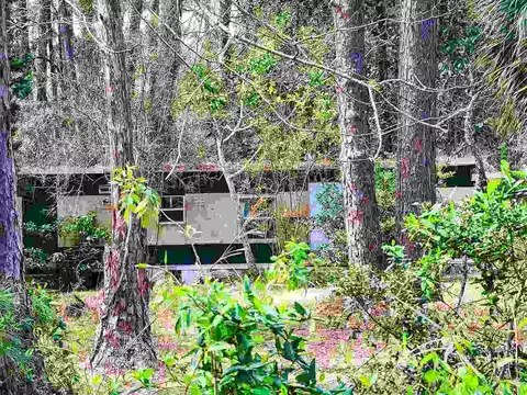 59 Levy Bay Rd, Panacea, FL 32346 photo 1