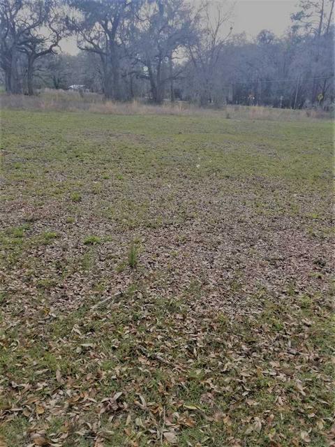 2860 Johnson Stripling Rd, Perry, FL 32347 photo 3