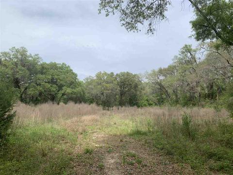 1320 E James D Smith Rd, Perry, FL 32347 photo 2