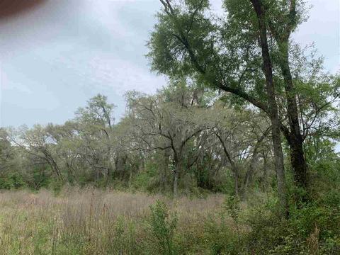1320 E James D Smith Rd, Perry, FL 32347 photo 3