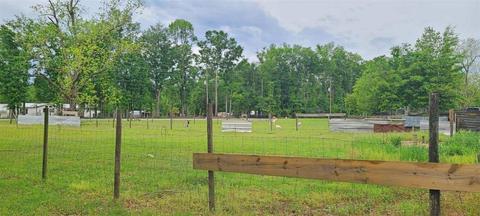 6017 E Hwy 90, Lee, FL 32059 photo 2
