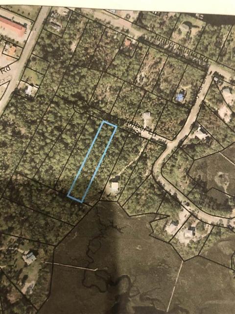 122 Timber Ln, Carrabelle, FL 32322 photo 1