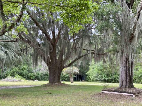 2055 Malone Rd, Perry, FL 32348 photo 18