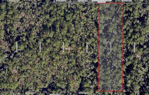 Track B Lutterloh Road, Woodville, FL 32305