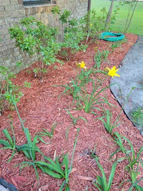 708 Puckett Rd, Perry, FL 32348 photo 3